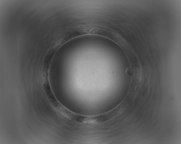 X0000053050602200507111128