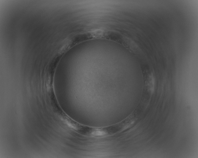 X0000053050610200507111128