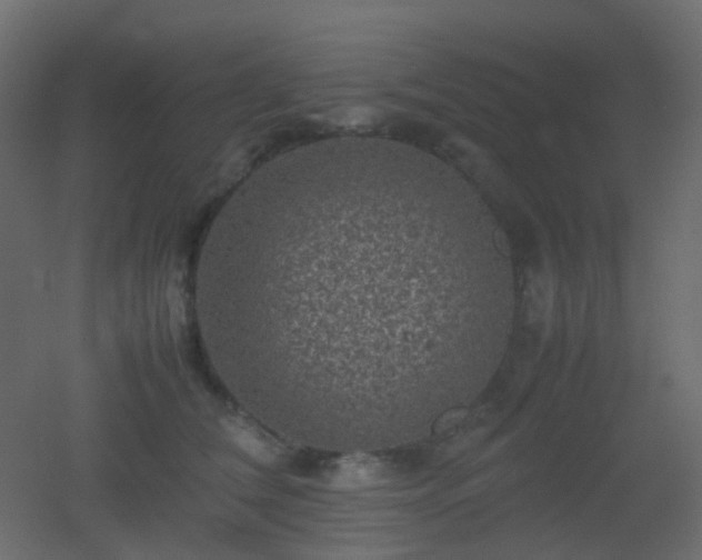 X0000053050612200507111128
