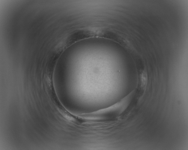 X0000053050613200507111128