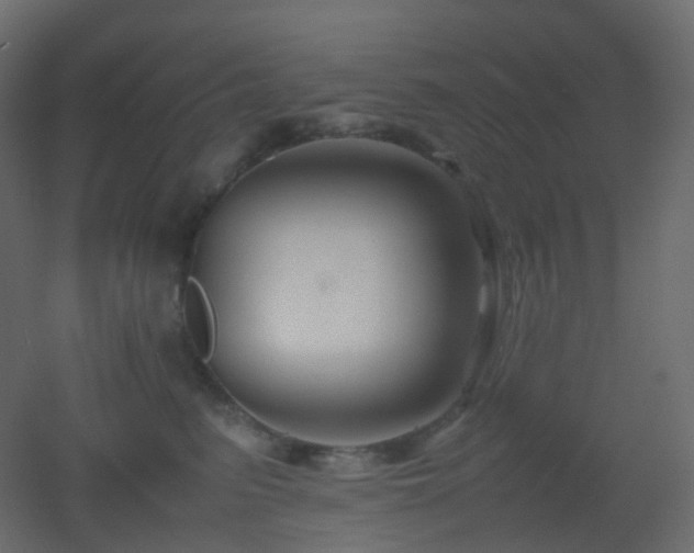 X0000053050615200507111128