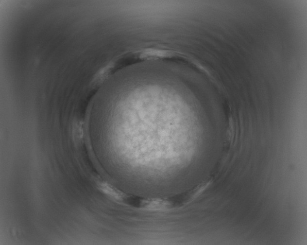 X0000053050621200507111128