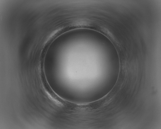 X0000053050629200507111127