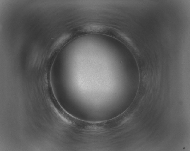 X0000053050633200507111127