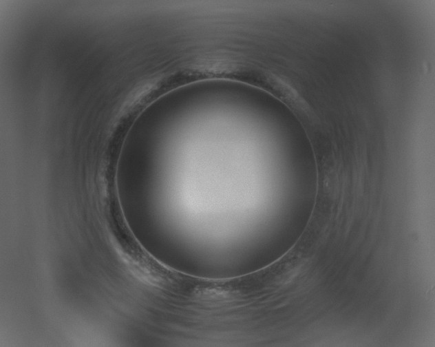 X0000053050635200507111127