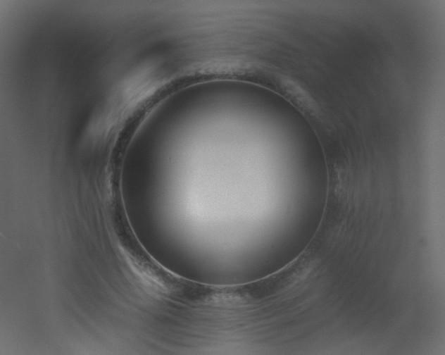 X0000053050636200507111127