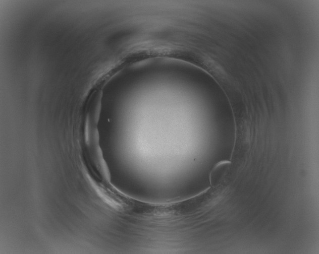 X0000053050638200507111127