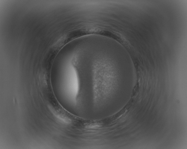 X0000053050643200507111127