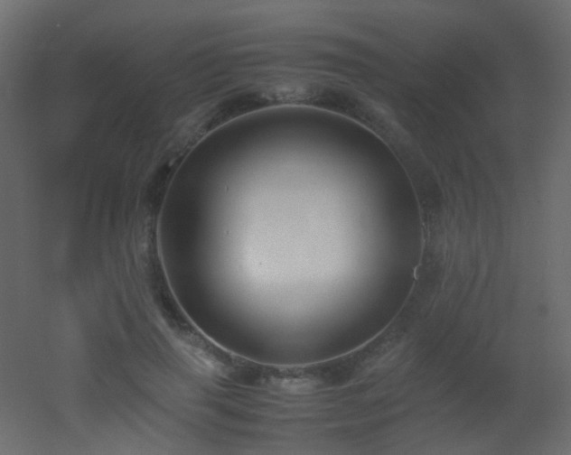 X0000053050645200507111127