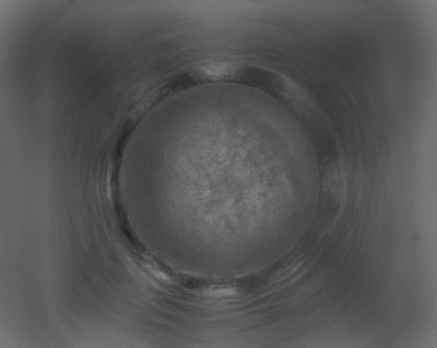 X0000053050651200507111127