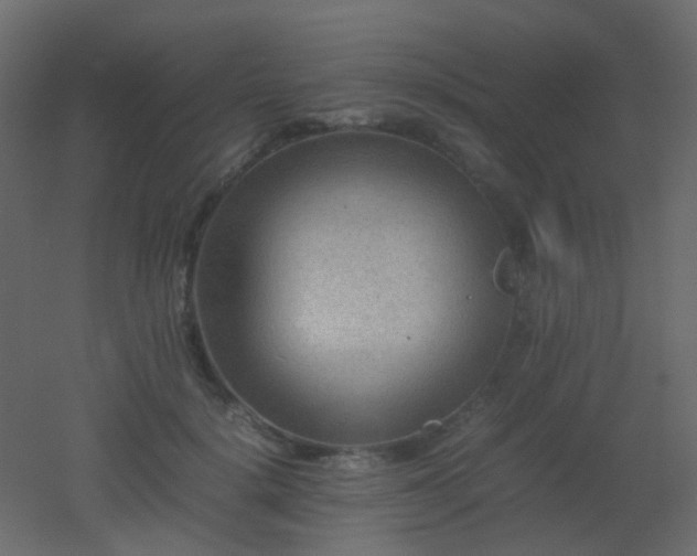 X0000053050652200507111127