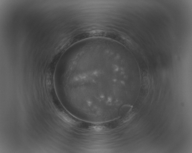 X0000053050654200507111127