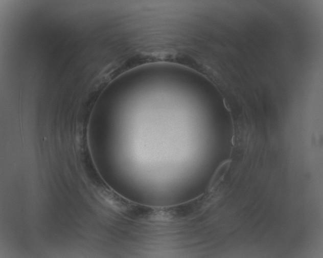 X0000053050656200507111127