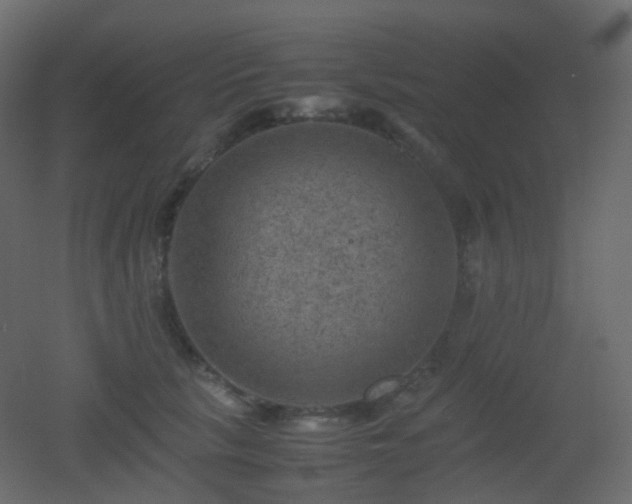 X0000053050657200507111127