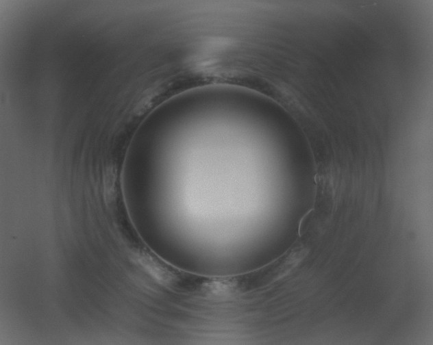 X0000053050660200507111127