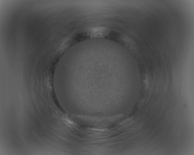 X0000053050663200507111127