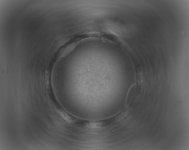 X0000053050664200507111127