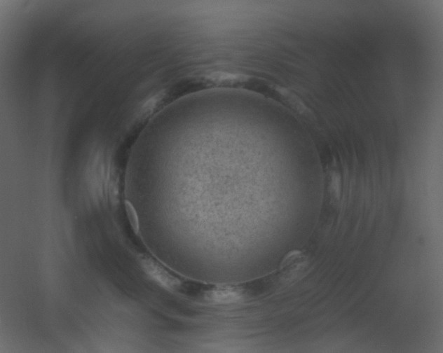 X0000053050668200507111127