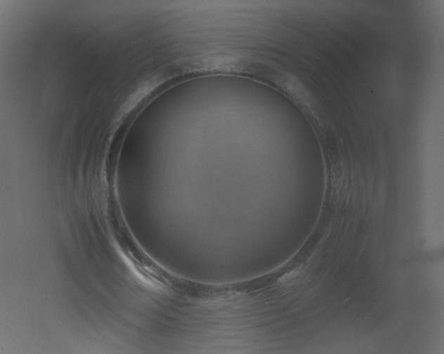 X0000053050674200507111127