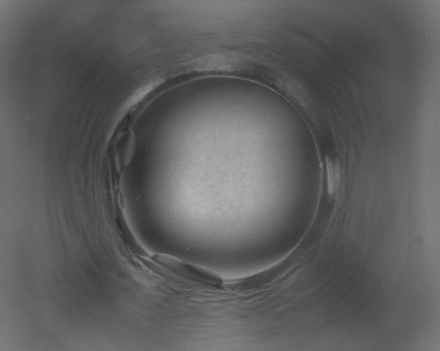 X0000053050675200507111127