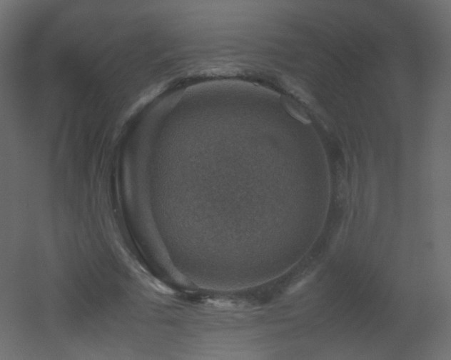 X0000053050681200507111126