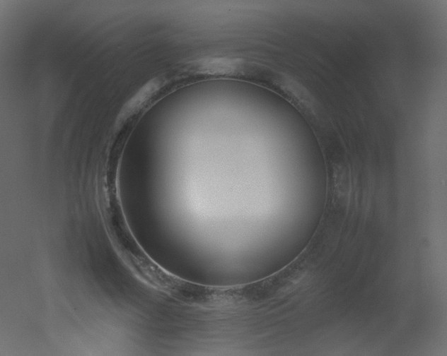 X0000053050682200507111126