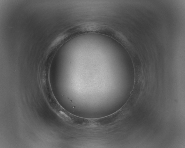 X0000053050683200507111126