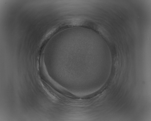 X0000053050685200507111126