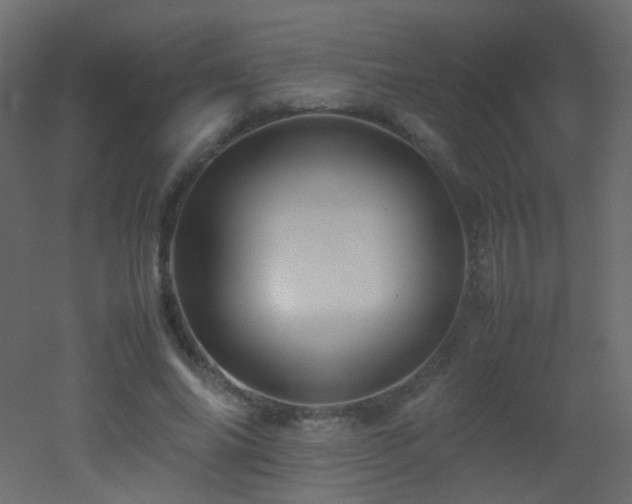 X0000053050686200507111126