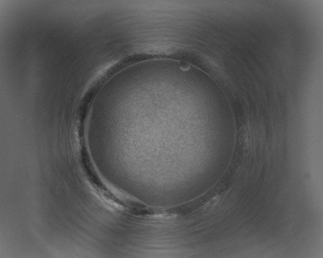 X0000053050688200507111126