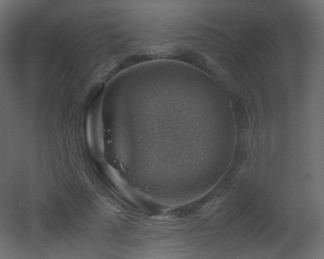 X0000053050689200507111126