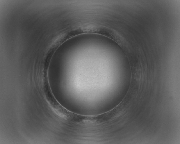 X0000053050690200507111126