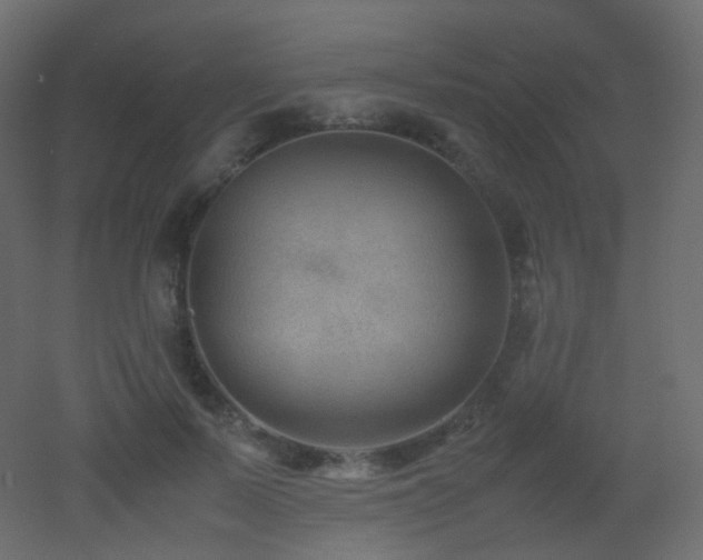 X0000053050695200507111126