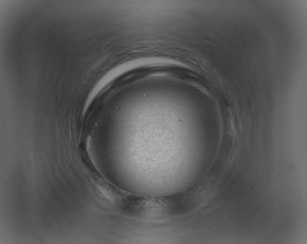 X0000053050697200507111126