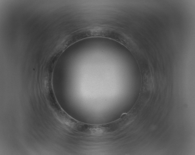 X0000053050698200507111126