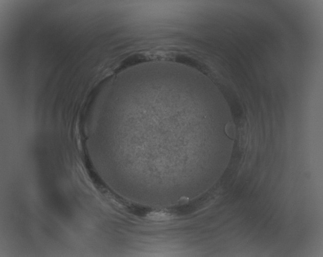 X0000053050699200507111126