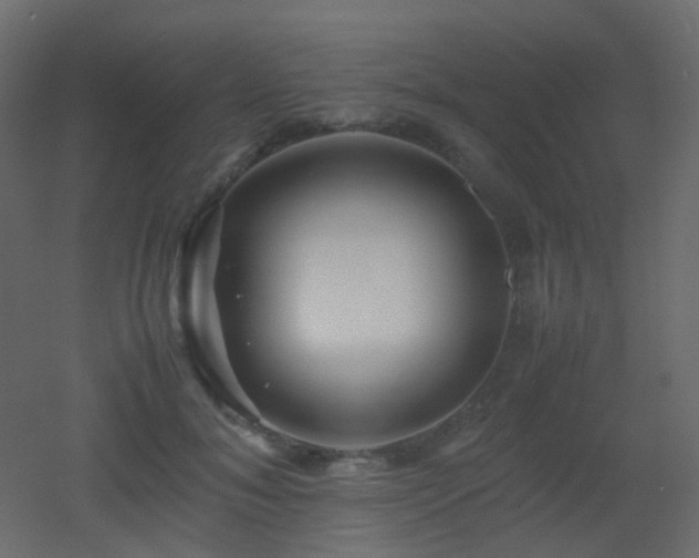 X0000053050700200507111126