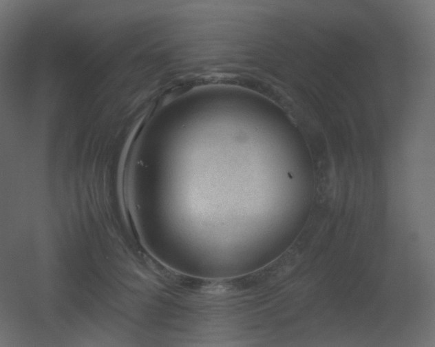 X0000053050704200507111126