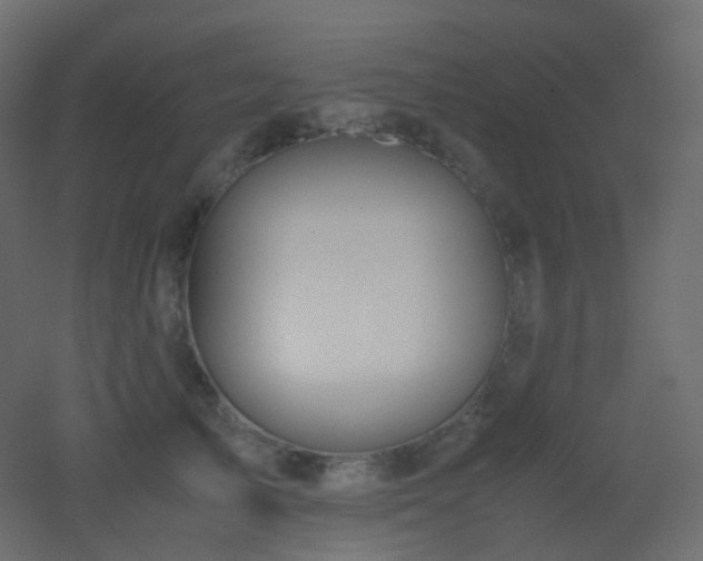 X0000053050705200507111126
