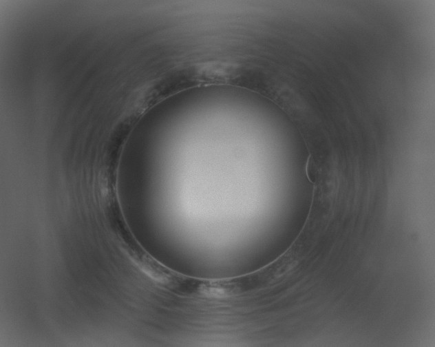 X0000053050706200507111126
