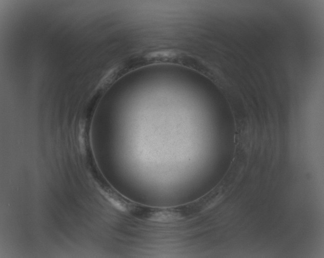 X0000053050708200507111126