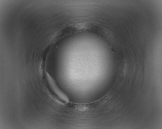 X0000053050710200507111126