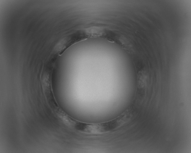 X0000053050713200507111126