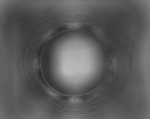 X0000053050714200507111126