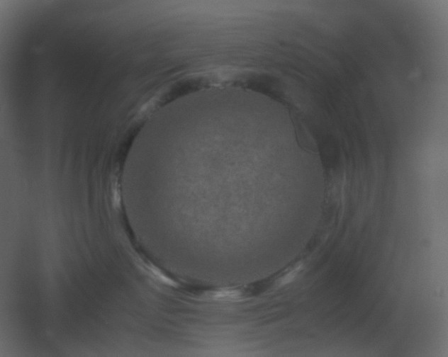 X0000053050719200507111126