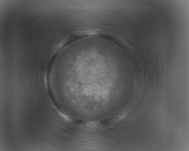X0000053050720200507111126