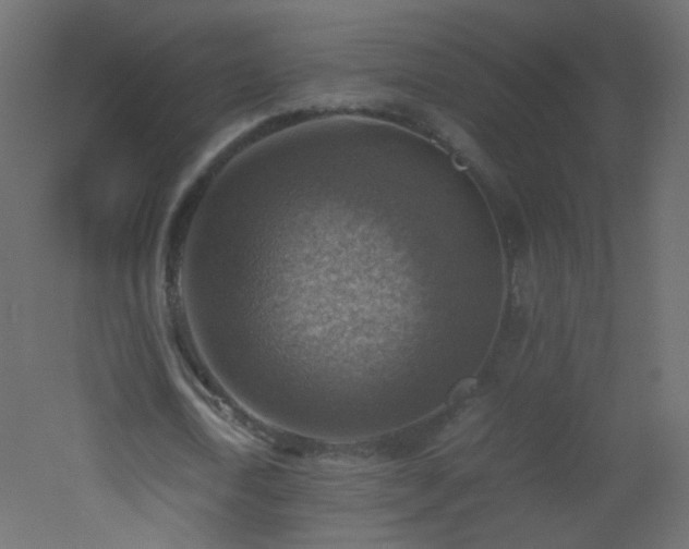 X0000053050722200507111125