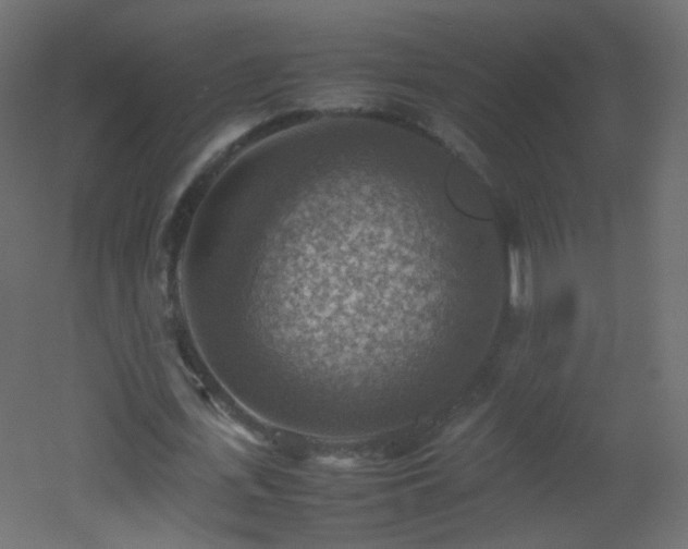 X0000053050723200507111125