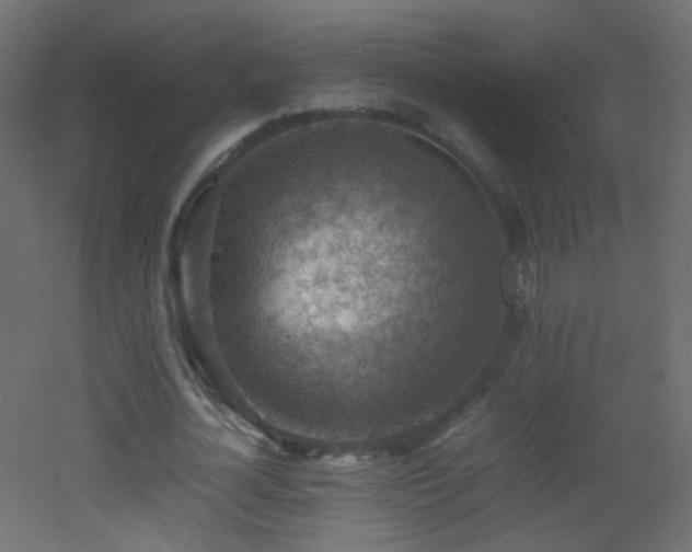 X0000053050724200507111125
