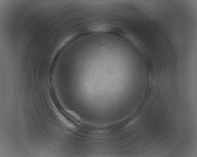 X0000053050725200507111125